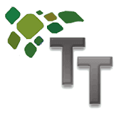 Kleines Twice Technology Logo